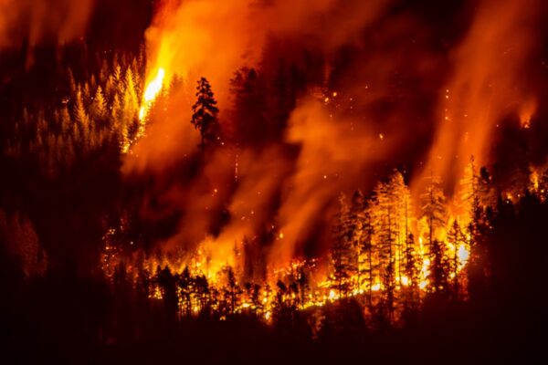AFP 20250813 69FK9WB v2 MidRes TopshotCanadaClimateWeatherFire