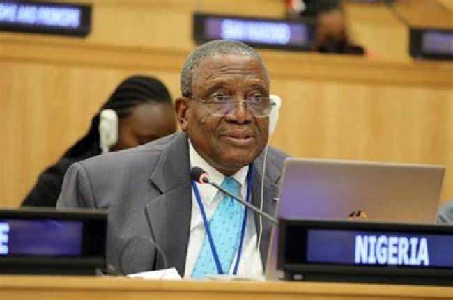 State Climate Action Critical to Nigeria’s Net-Zero Ambition – Alo Prof. Babajide Alo