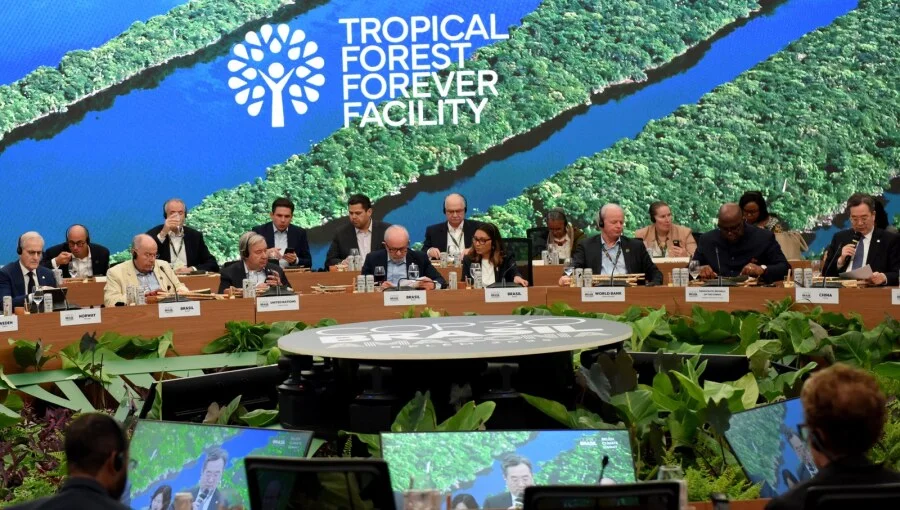 COP30: African Coalition Rejects $125bn Forest Finance Scheme as Corporate Greenwashing COP30 Tropical Forest