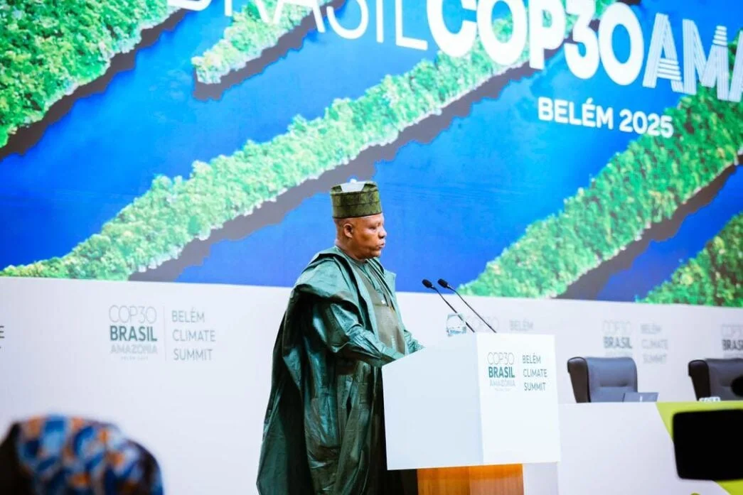 Climate Change: Nigeria's Plea for More Global Cash to Fix and Guard Our Natural Treasures Nig. Vice-President