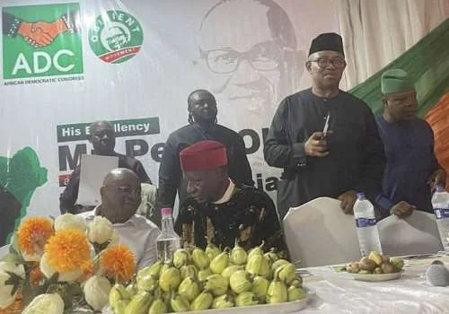 Peter Obi joins ADC