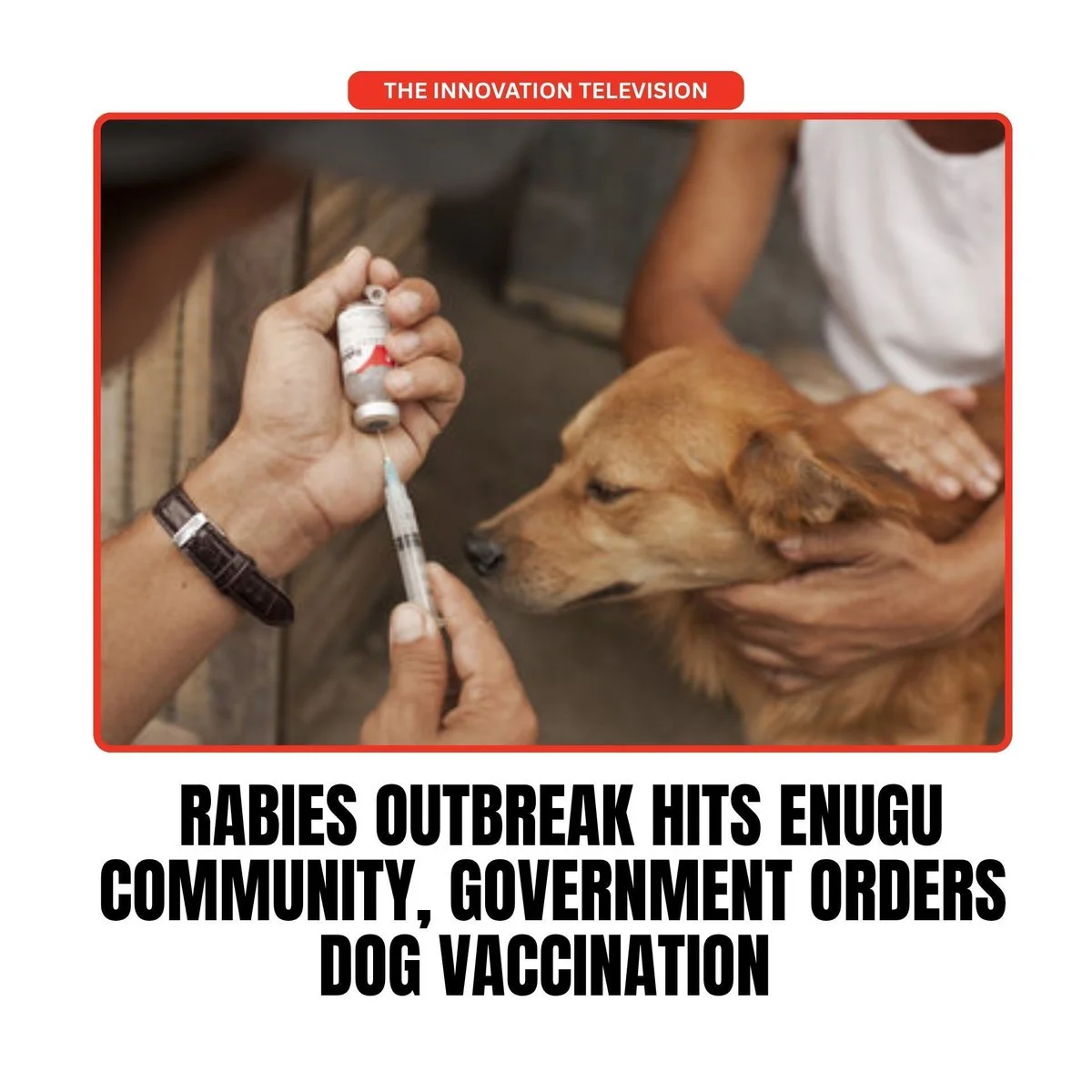 Rabies outbreak in Enugu as government orders mandatory dog vaccination Rabies Outbreak