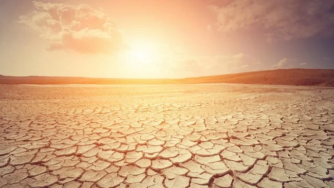 Hot temperatures: WMO warns next five years to hit record heat levels Heatwave